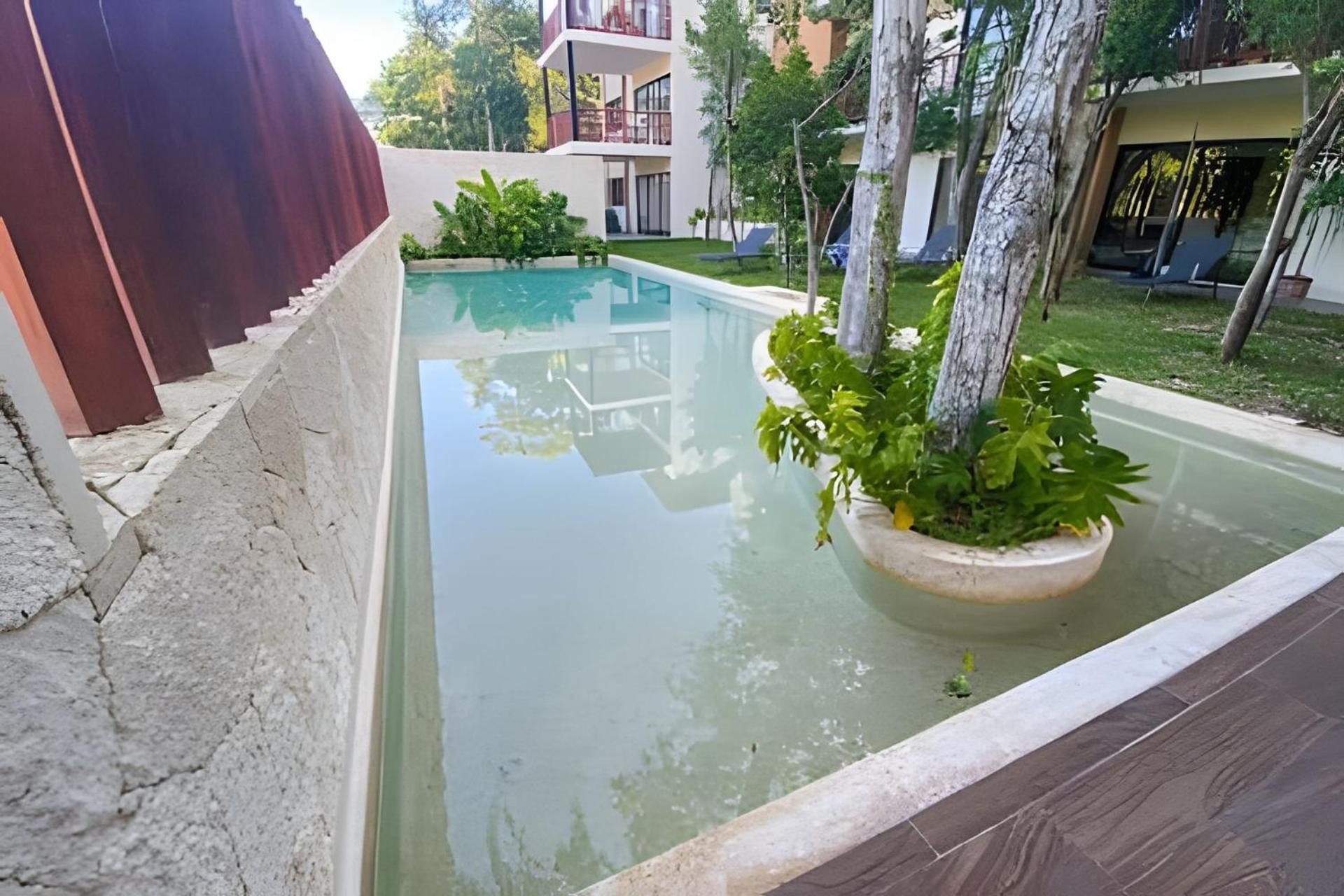 Suit Next To The Common Top Roof Exclusive Building Kingsize Bed 2 Super Pools, Gym, Grill Tulum Zewnętrze zdjęcie